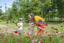 Rendez-vous aux jardins 2019 dans la région de Nantes - Parc de découverte cap Loire