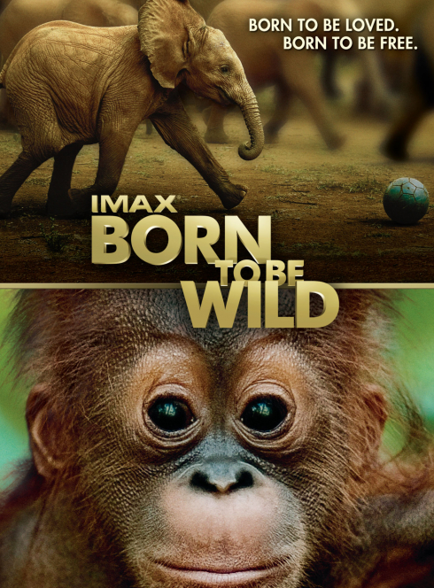 Born to be wild