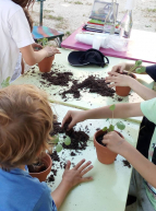 Atelier jardinage pour les minots