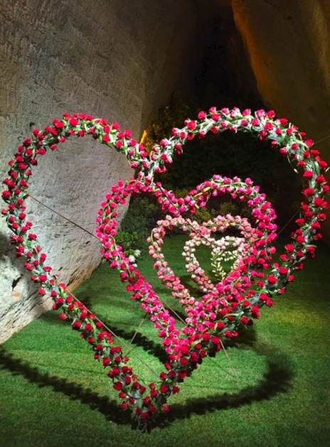 Journées de la Rose 2017