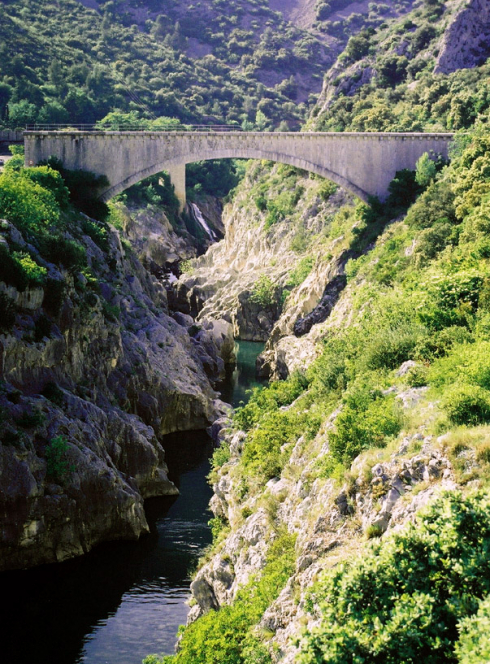 Les Gorges de l'Hérault