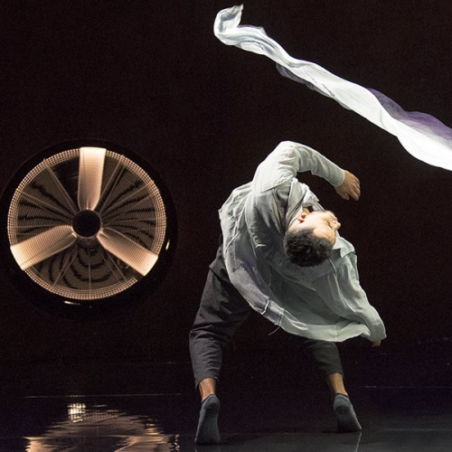 Zéphyr - Cie Käfig