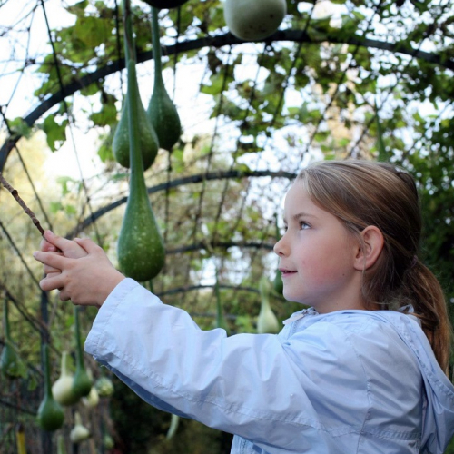 Parc naturel régional Oise - Pays de France © PNR OPF