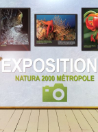 Expositions Natura 2000 Métropole