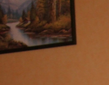 Ma Grand-Mère et moi 2014 4