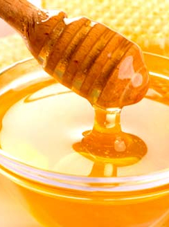 La Maison de l’environnement fête le miel