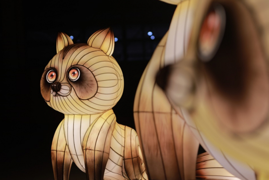 Festival des Lanternes 2025 - Le Japon en lumières