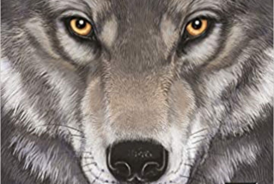 Couverture Croc Blanc