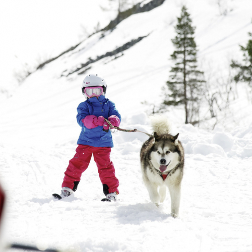 Voyagez au pays du Père Noël avec les enfants © J.Laine-Visit Finland