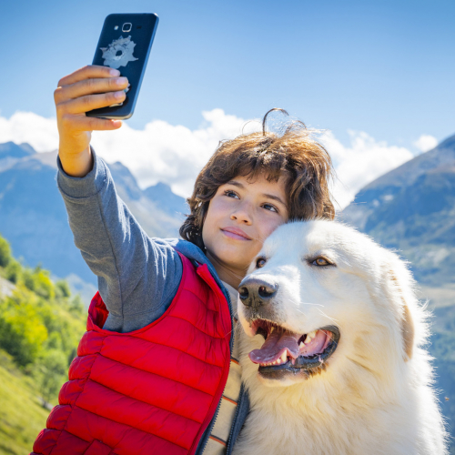 Belle et Sébastien : Nouvelle Génération - En haut des montagnes
