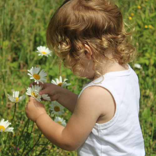 Fête de la Nature 2025 à Villeneuve-Loubet