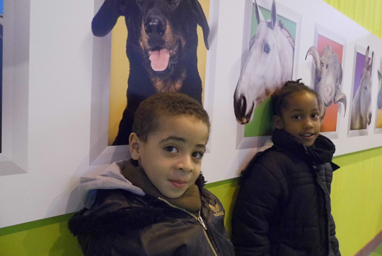 salon agriculture 2013