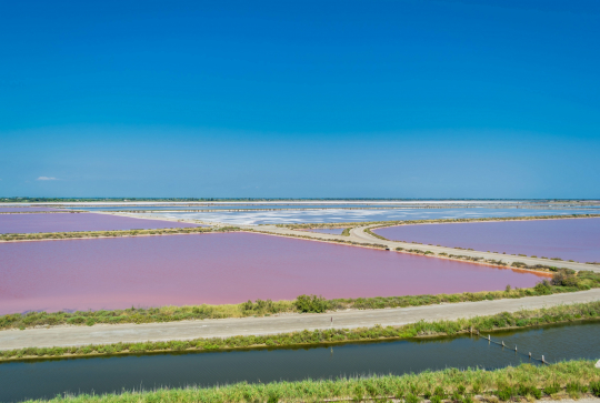 Piste cyclable de Sète à Aigues-Mortes