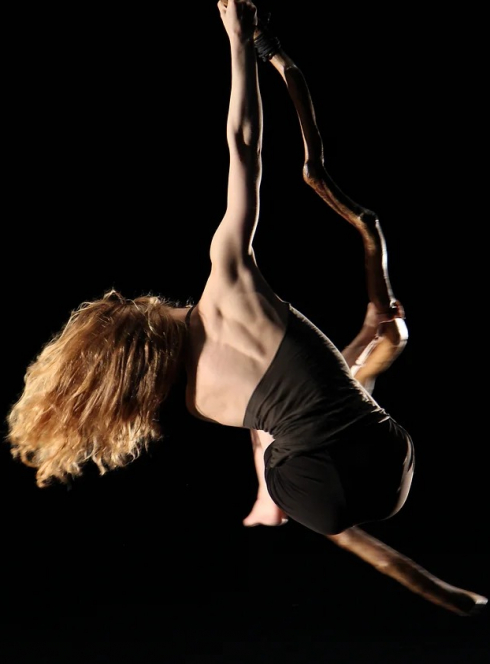 Hêtre et Phasmes - Cie Libertivore