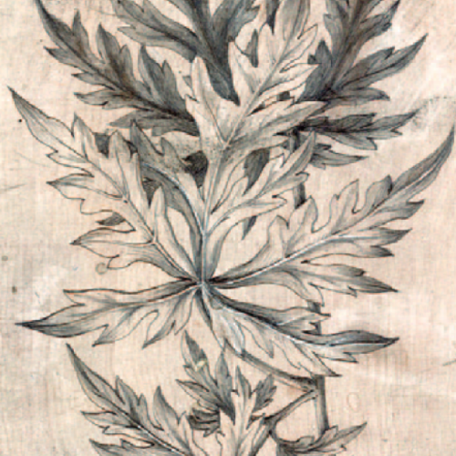 Le jardin des imprimeurs expo Lyon