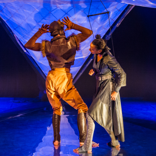 Chauve-souris - Les Escargots Ailés