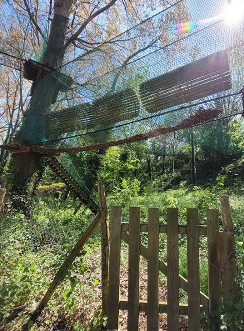 Parc aventure C.O.R.D.E