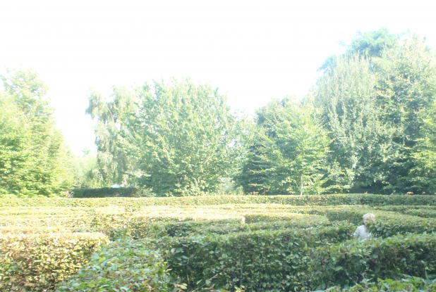 le labyrinthe végétal