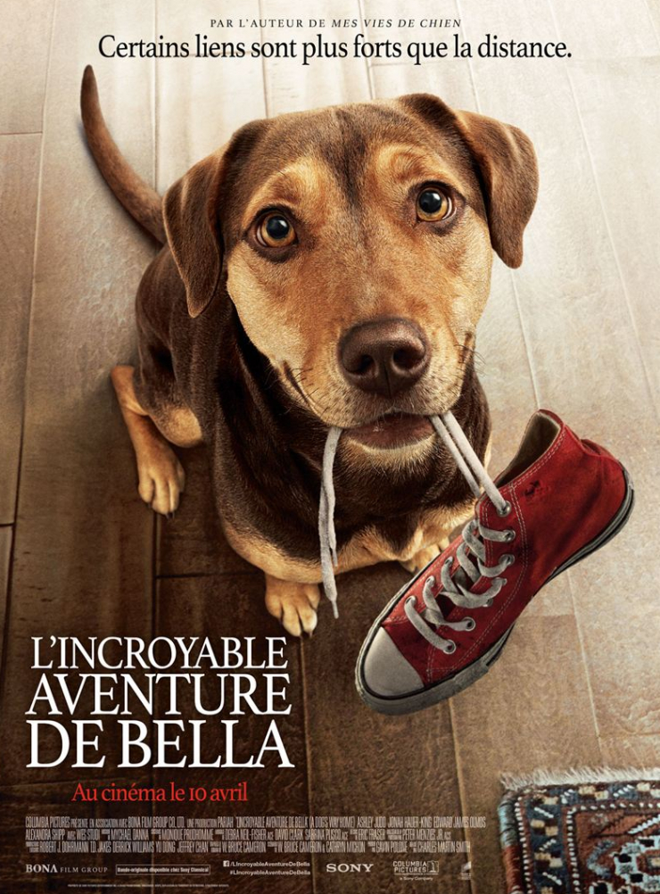 L Incroyable Aventure De Bella Histoire Vraie