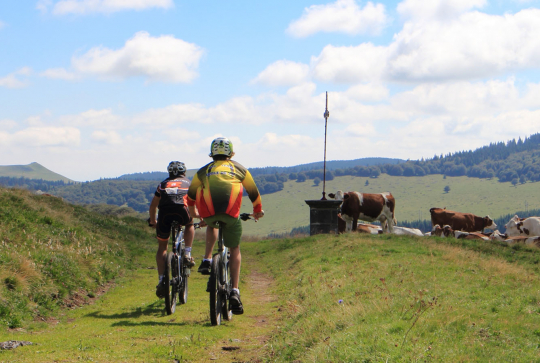 Vélo dans le massif du Sancy