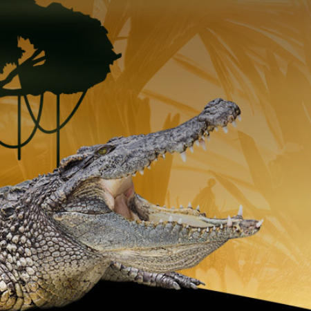 Ferme aux Crocodiles : Halloween 2019