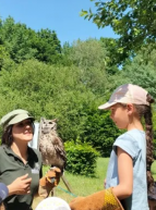 L'Éveil de la Forêt à l'Espace Rambouillet