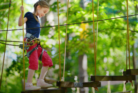 Parc Arbre Aventure accrobranche