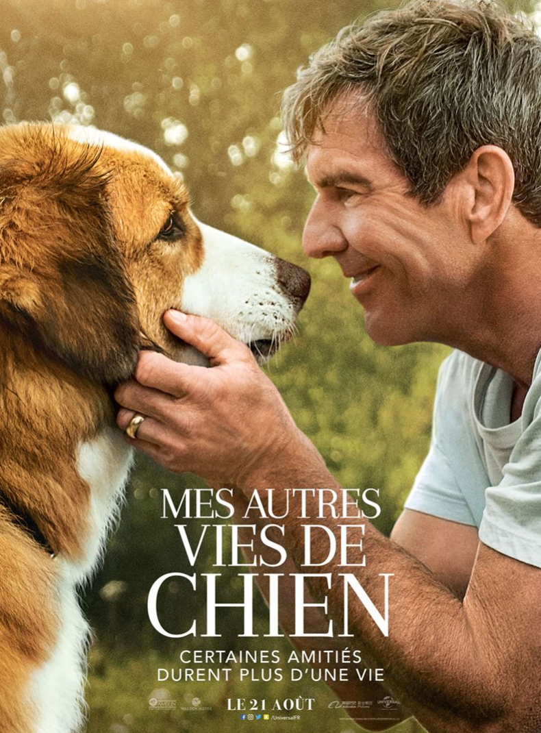 Mes Autre Vies De Chien Mes autres vies de chien : film familial au cinéma en 2019 - Citizenkid