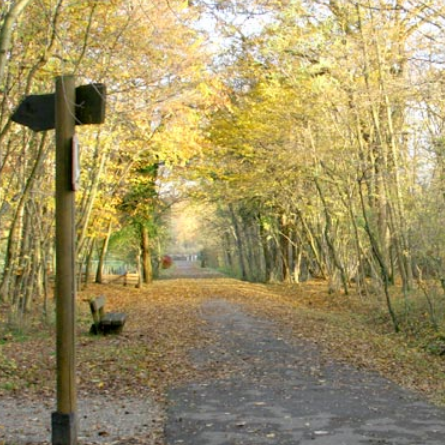 Réserve naturelle nationale du massif forestier de Neuhof-Illkirch