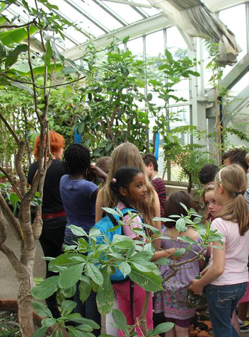 Serres tropicales du Grand Blottereau