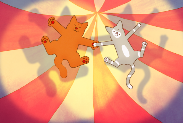 Film Tom le Chat À la recherche du doudou perdu - Cirque