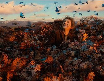 Le Hobbit : la Désolation de Smaug