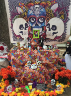 Día de los Muertos - Célébrations vivantes au Mexique