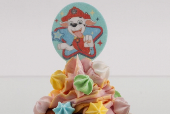 Anniversaire Pat'Patrouille - Pic à gâteaux