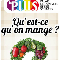 Qu'est-ce qu'on mange ?