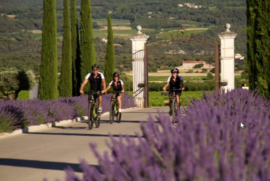 Activités Coquillade Village