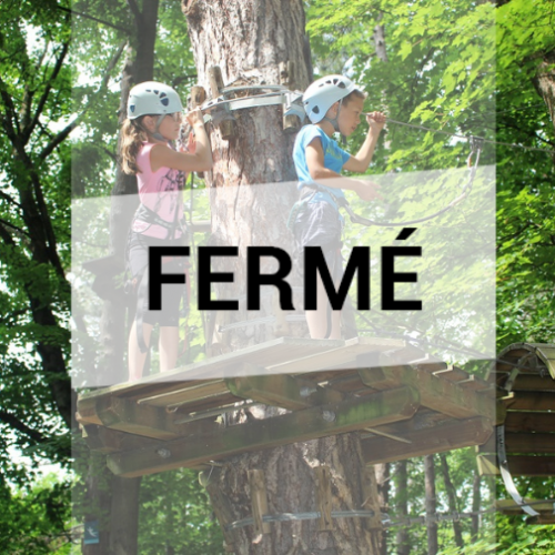 Parc City Aventure Lyon : Enfants dans les arbres