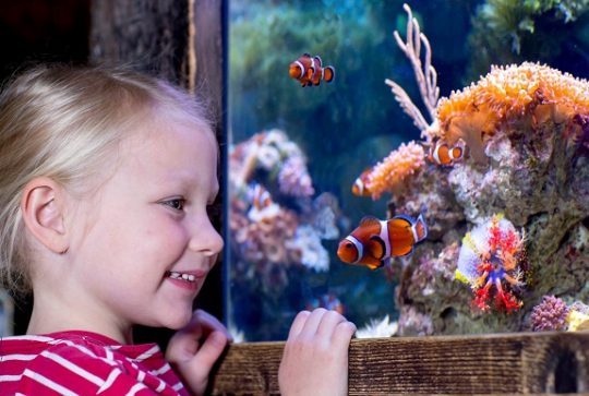 Aquarium SEA LIFE Paris Val d'Europe