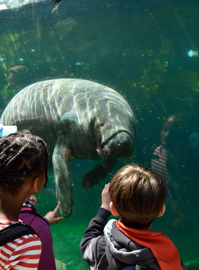 Week-end anniversaire du Parc Zoologique de Paris