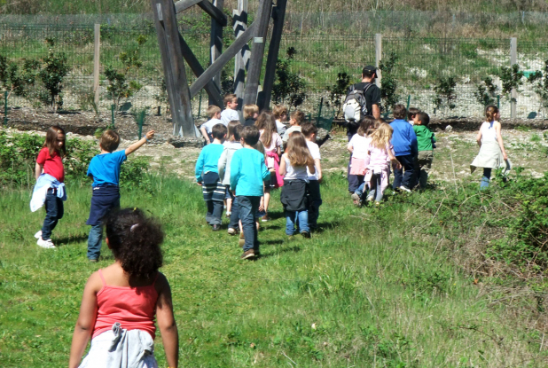 Écosite du Bourgailh