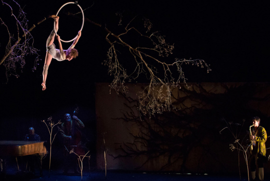 En route vers le cirque contemporain