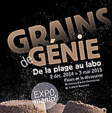 Grains de génie