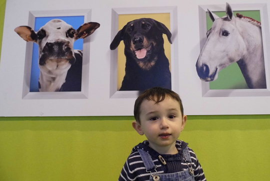 salon agriculture 2013