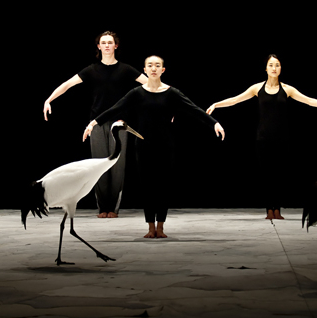 Light bird - Luc Petton