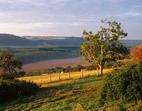 Parc du Vexin français