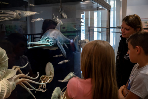 Musée Fossilea - visite guidée