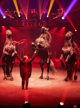La magie du cirque en famille