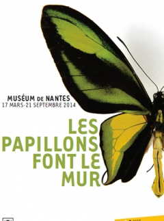 Les Papillons font le mur