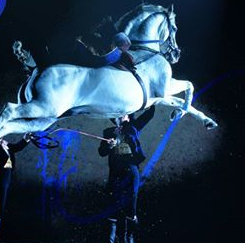 Ecole royale andalouse de Jerez