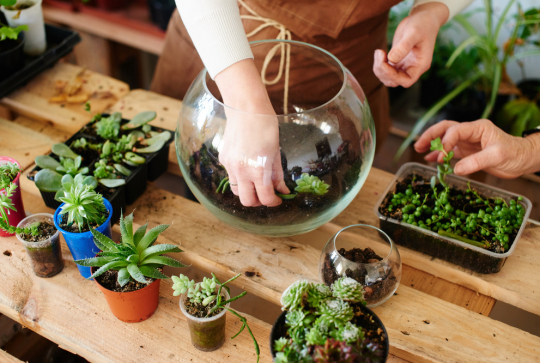Créer son propre terrarium